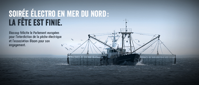 Interdiction de la pêche électrique dans l'Union européenne